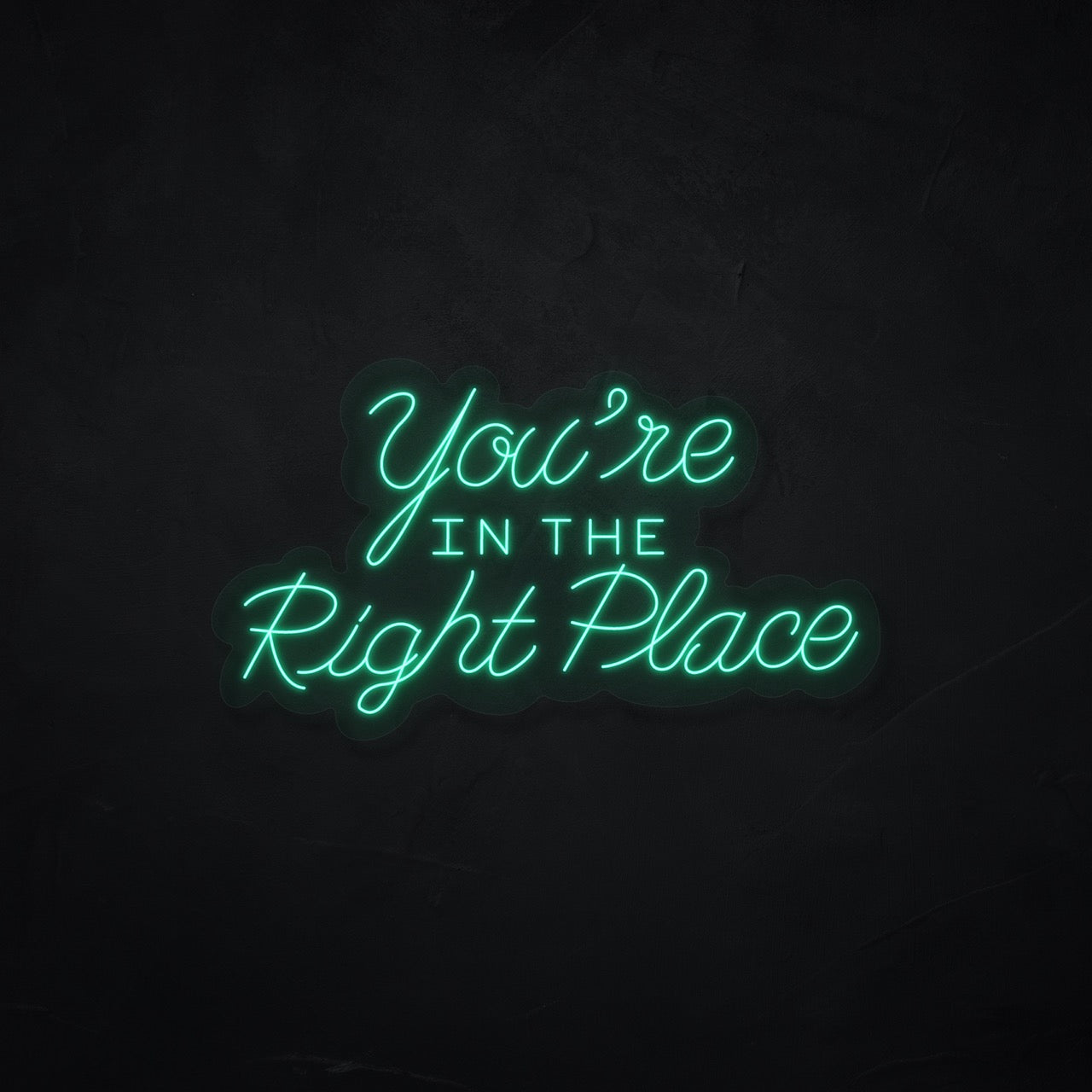 You're In The Right Place LED Neonsign