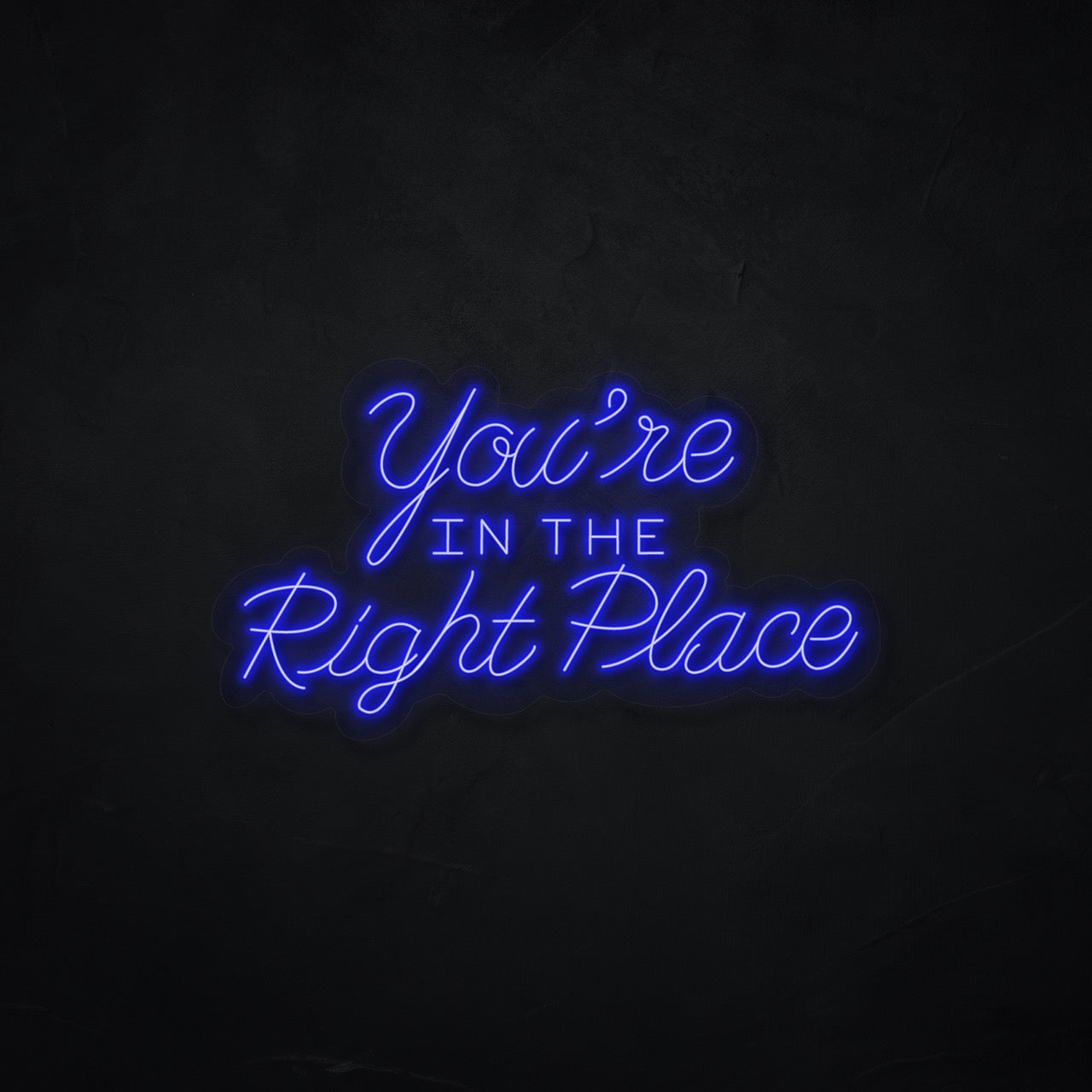 You're In The Right Place LED Neonsign